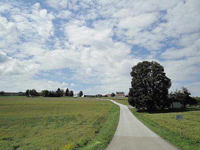 Rinngrabenbach