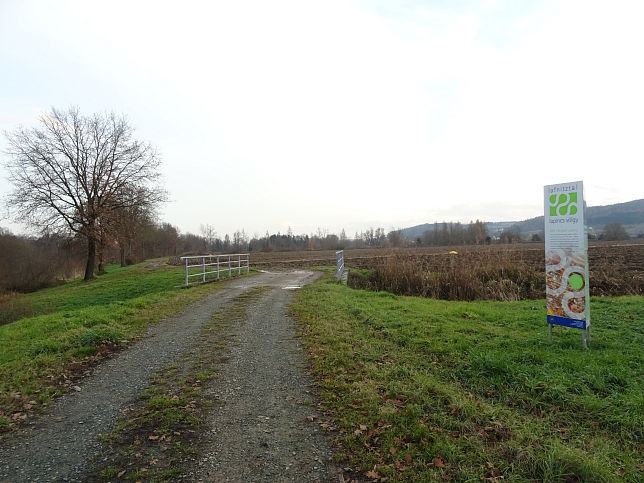 Alte Rittschein