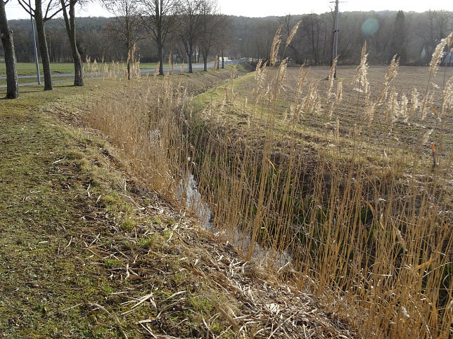 Groer Waldbach