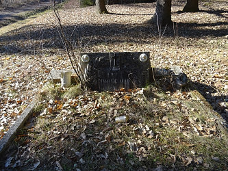 Friedhof Nemesmedves (Ginisdorf)