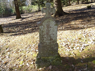 Friedhof Nemesmedves (Ginisdorf)