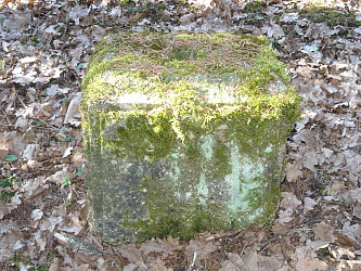 Friedhof Nemesmedves (Ginisdorf)