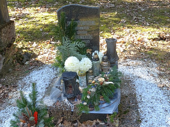 Friedhof Nemesmedves (Ginisdorf)