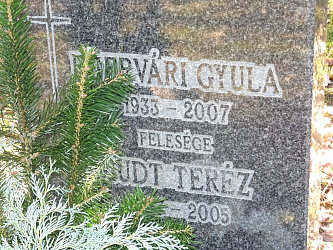 Friedhof Nemesmedves (Ginisdorf)