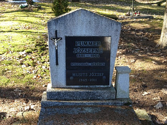 Friedhof Nemesmedves (Ginisdorf)