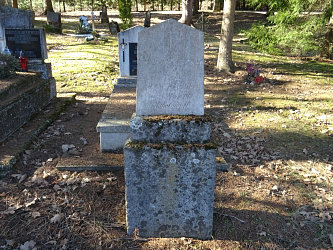 Friedhof Nemesmedves (Ginisdorf)