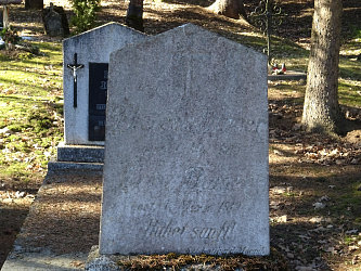 Friedhof Nemesmedves (Ginisdorf)