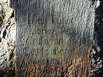 Friedhof Nemesmedves (Ginisdorf)