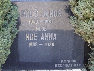 Friedhof Pinkamindszent
