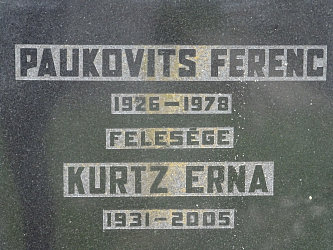 Friedhof R�baf�zes (Raabfidisch)