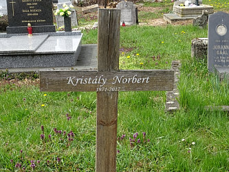 Friedhof R�baf�zes (Raabfidisch)