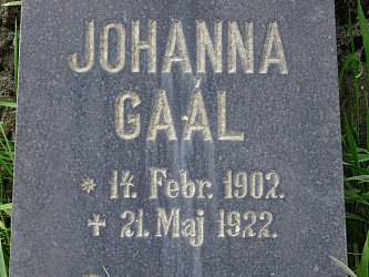 Friedhof R�baf�zes (Raabfidisch)