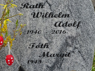 Friedhof R�baf�zes (Raabfidisch)