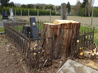 Friedhof R�baf�zes (Raabfidisch)