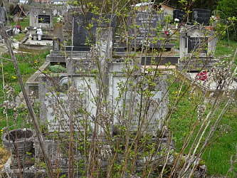 Friedhof R�baf�zes (Raabfidisch)