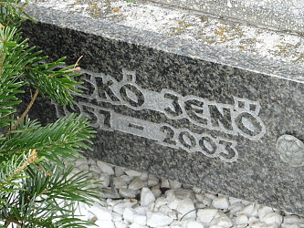 Friedhof R�baf�zes (Raabfidisch)