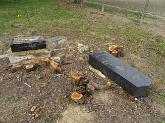 Friedhof R�baf�zes (Raabfidisch)