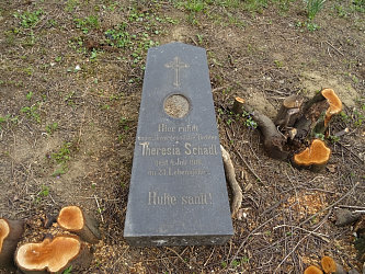 Friedhof R�baf�zes (Raabfidisch)