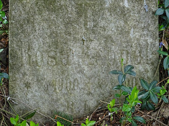 Friedhof R�baf�zes (Raabfidisch)