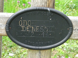 Friedhof R�baf�zes (Raabfidisch)