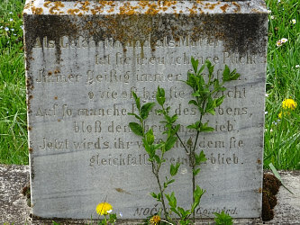 Friedhof R�baf�zes (Raabfidisch)