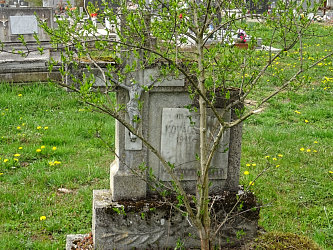 Friedhof R�baf�zes (Raabfidisch)