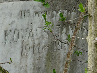 Friedhof R�baf�zes (Raabfidisch)