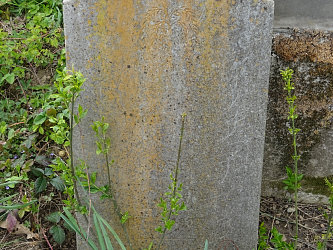 Friedhof R�baf�zes (Raabfidisch)