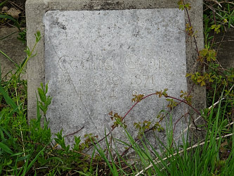 Friedhof R�baf�zes (Raabfidisch)