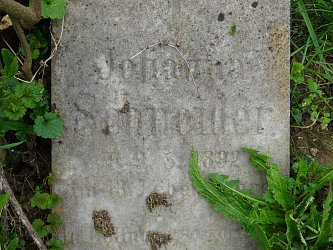 Friedhof R�baf�zes (Raabfidisch)