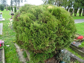 Friedhof Als�r�n�k neuer Friedhof (Unterradling)