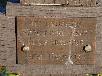 Friedhof Vasszentmih�ly (Raab-Sankt-Michael)