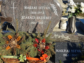 Friedhof Vasszentmih�ly (Raab-Sankt-Michael)