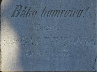 Friedhof Vasszentmih�ly (Raab-Sankt-Michael)