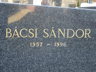 Friedhof Vasszentmih�ly (Raab-Sankt-Michael)