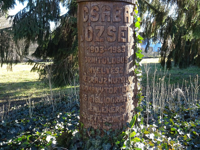 Csknydoroszl, Jzsef Csaba