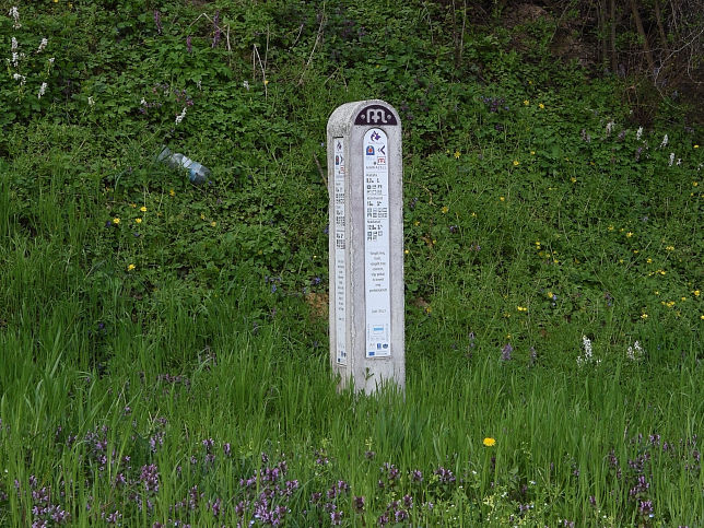 D�r�ske, Distanzstein