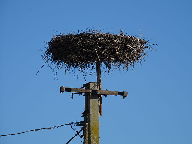 Harasztifalu, Storchennest