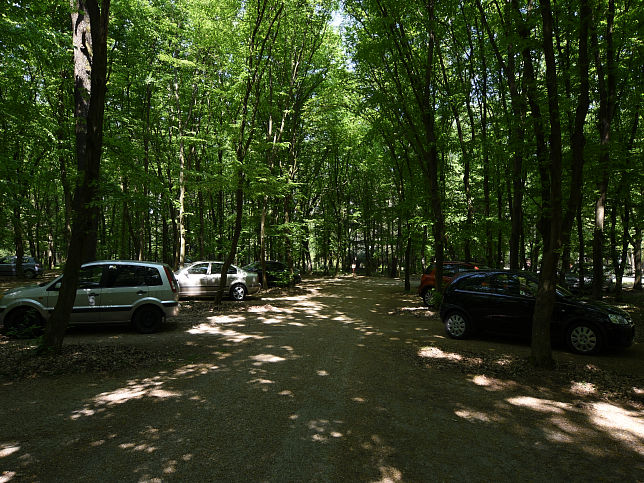 Km, Jeli Arboretum