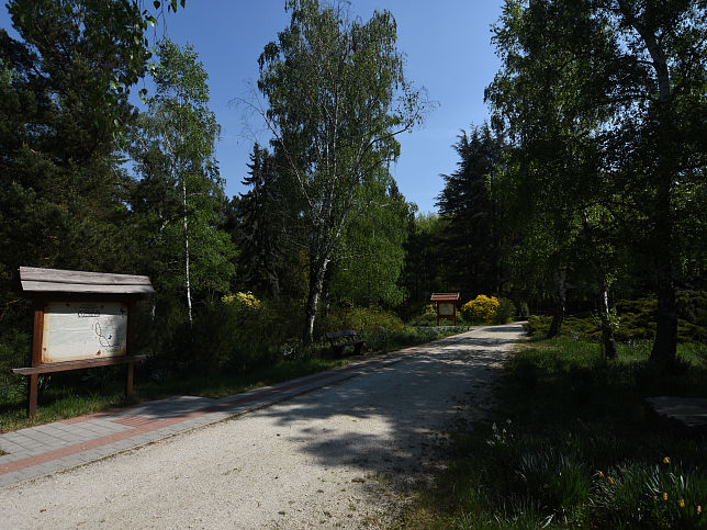 Km, Jeli Arboretum