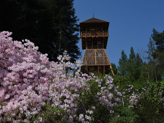 Km, Jeli Arboretum