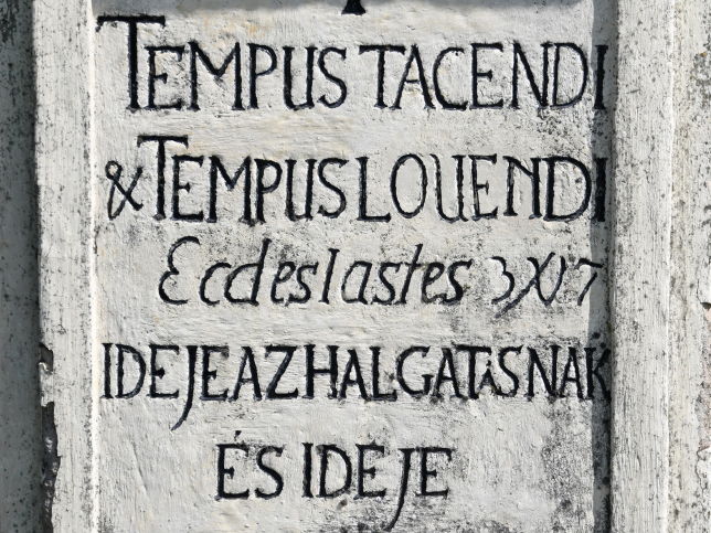 Kny, Johannes Nepomuk