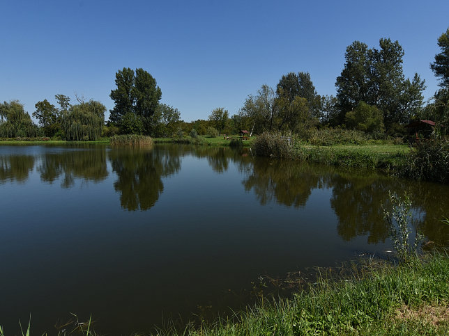 Mersev�t, Fischteich