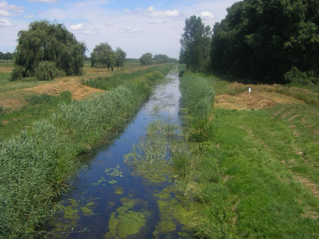 Mersevt, Marcal