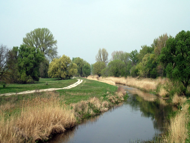 Mrichid, Marcal