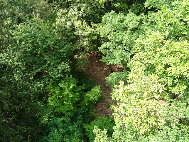 R�baf�zes, Vermessungsturm (Geod�ziai m�rőtorony)