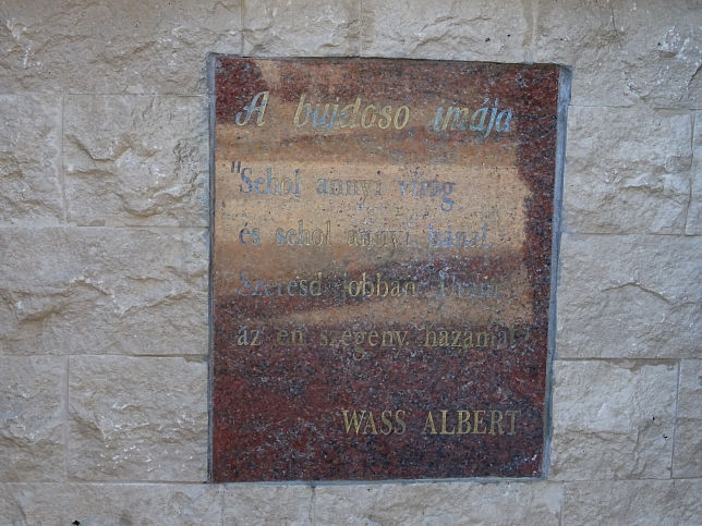 Rtt, Wass Albert