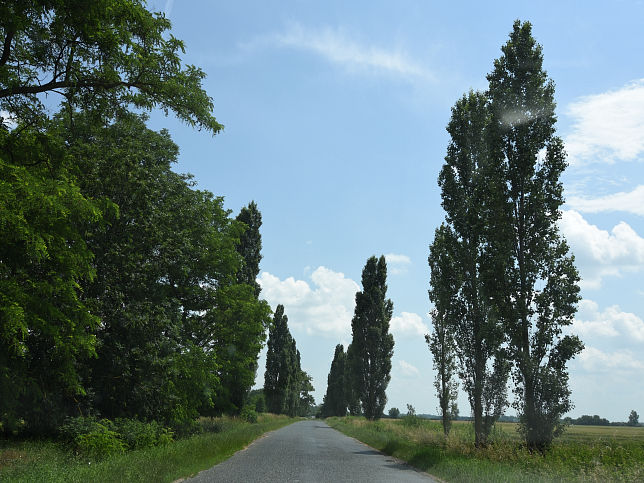 Sajtoskl, Landschaft