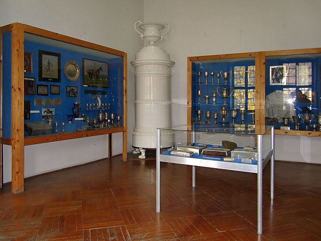 Srvr, Burganlage