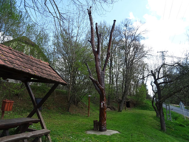 Szalaf�, Lebensbaum